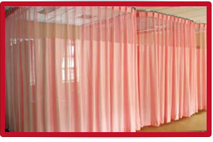 Plants: image 1 0f 4 thumb